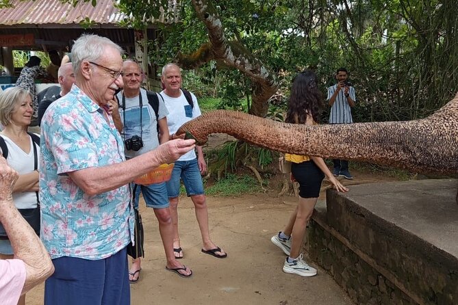 From Colombo: Kandy and Pinnawala Full-Day Trip - Getting around: pickup, mobile tickets, and a group of 10