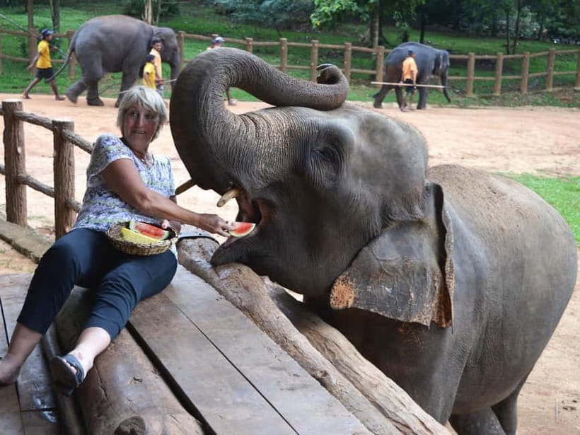 From Colombo: Kandy and Pinnawala Orphanage Short Excursions - Practical tips so you enjoy every stop (instead of rushing)