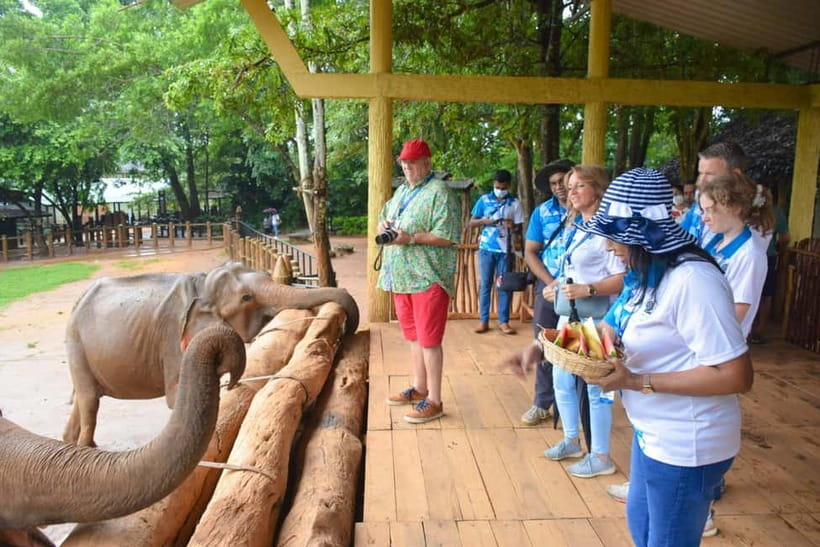 From Colombo: Kandy and Pinnawala Orphanage Short Excursions - Peradeniya Royal Botanical Gardens: the 147-acre reset you’ll appreciate