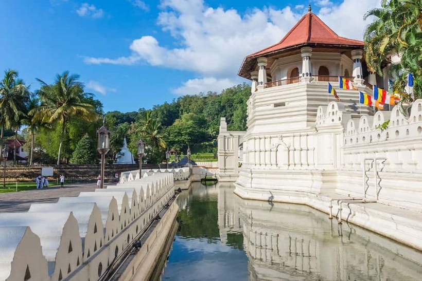 From Colombo: Kandy and Pinnawala Orphanage Short Excursions - The herbal and spice garden walk: useful, but keep your radar on
