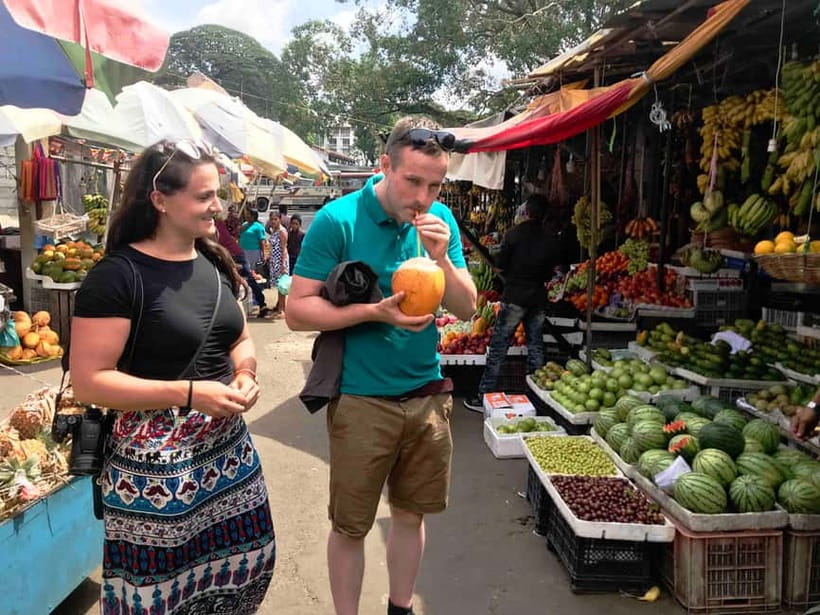 From Colombo: Kandy and Pinnawala Orphanage Short Excursions - Price and value: does $75 make sense for this kind of day?