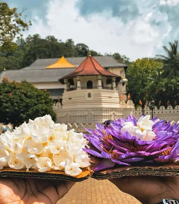 From Colombo: Kandy and Pinnawala Orphanage Short Excursions - Inside the Temple of the Tooth and Kandy’s crafts stops