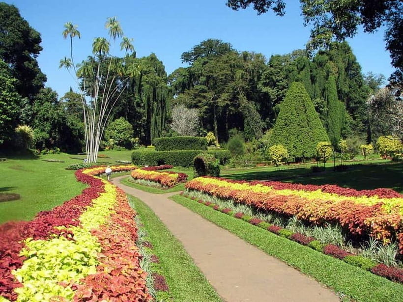 From Colombo: Kandy, Pinnawala and Tea Factory Full-Day Trip - Who This Tour Is For (and Who Should Skip)
