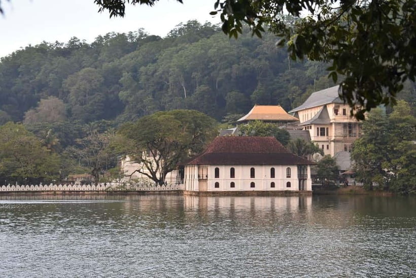 From Colombo: Kandy, Pinnawala and Tea Factory Full-Day Trip - Crafts and Factory Stops: Oak Ray Wood, Batik, and the Shopping Reality Check