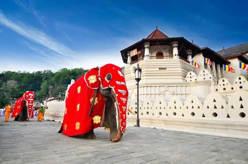 From Colombo: Kandy, Pinnawala and Tea Factory Full-Day Trip - Pinnawala Elephants: Feeding, Photos, and River-Bathing Time