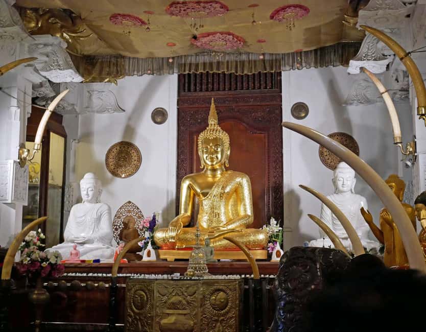 From Colombo: Kandy Temple of Tooth & Elephant Orphanage - Tea factory time and free Ceylon tasting: what to look for