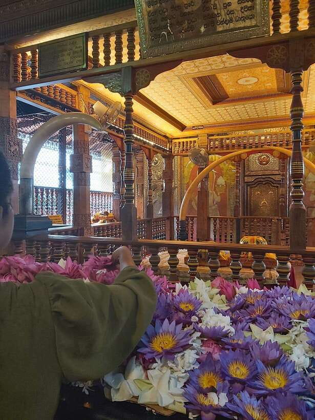 From Colombo: Kandy Temples and Pinnawala Full-Day Tour - Key moments you’ll remember from this Kandy day tour