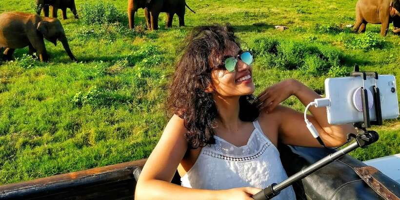From Colombo: Private Minneriya National Park Day Safari - Key takeaways before you go