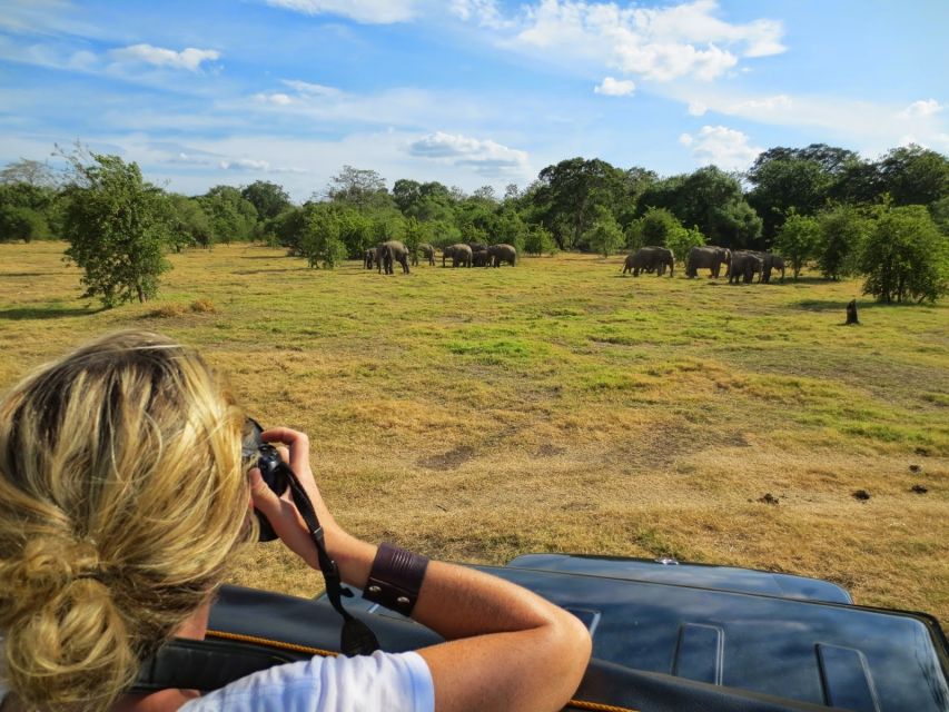 From Colombo: Private Minneriya National Park Day Safari - What to bring and how to stay comfortable
