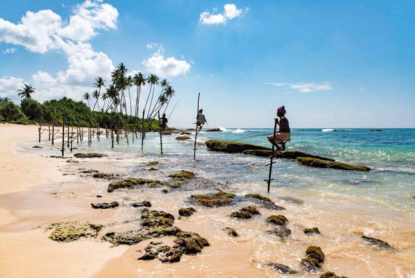From Colombo to Galle Fort and Jungle Beach Day Trip - Hikkaduwa turtle sanctuary: conservation with clear rules