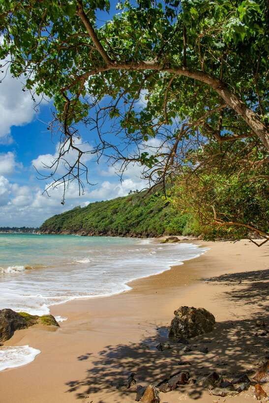 From Colombo to Galle Fort and Jungle Beach Day Trip - Jungle Beach: how to spend your last hours without rushing