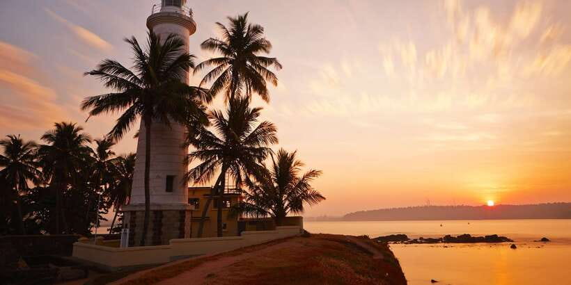 From Colombo: Virgin White Tea and Galle City Tour - Key Things to Know Before You Go