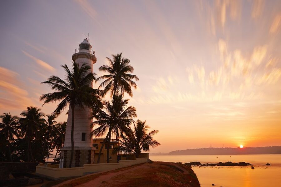 From Colombo: Virgin White Tea and Galle City Tour - Should You Book This Tea and Galle Day Trip?
