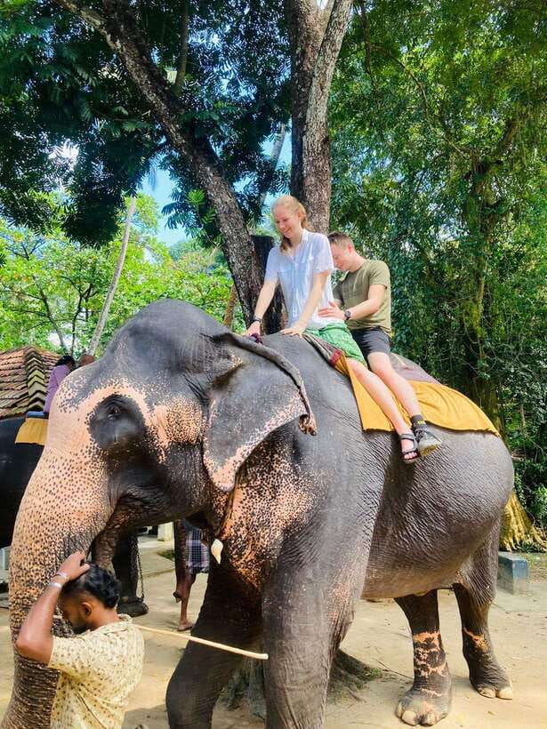 From Kandy : Pinnawala Elephant Orphanage & Ambuluwawa Tower - Key things I’d focus on before you go