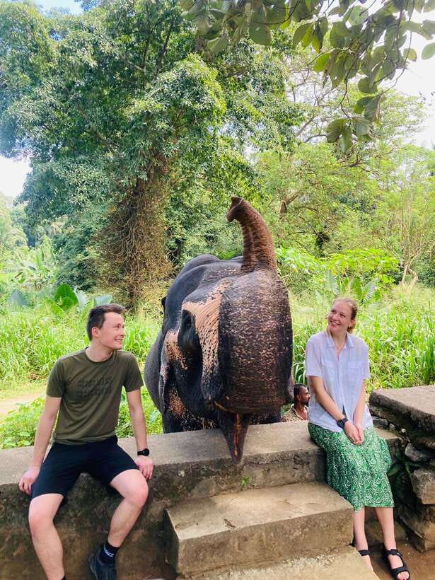 From Kandy : Pinnawala Elephant Orphanage & Ambuluwawa Tower - Why Pinnawala plus Ambuluwawa works in one Kandy day