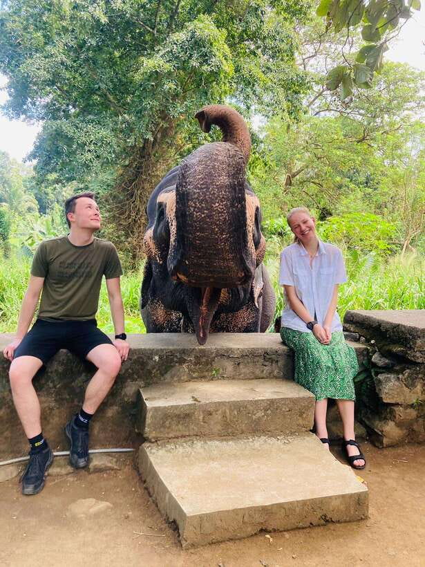 From Kandy : Pinnawala Elephant Orphanage & Ambuluwawa Tower - Gem Museum plus Kandy’s craft and culture stops