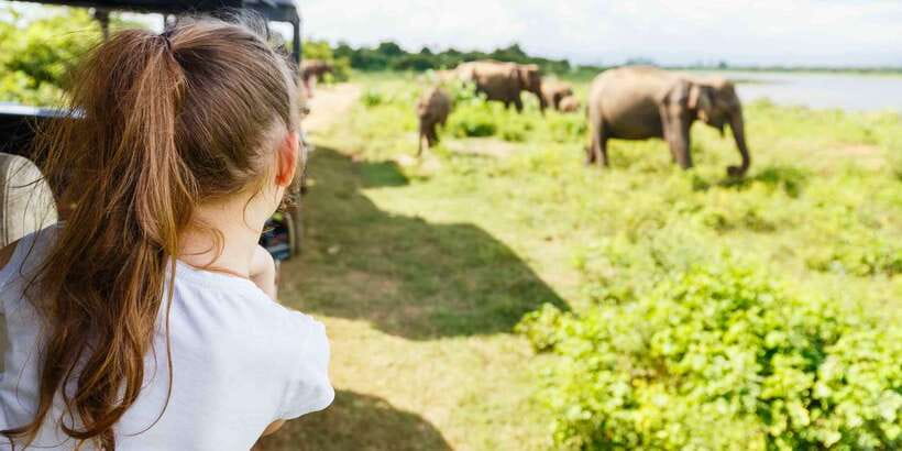 From Negombo: Minneriya National Park Safari Tour - Health Rules You May Need to Follow Before You Travel