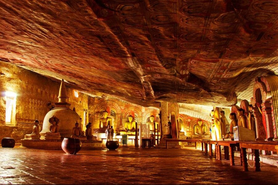 From Negombo: Sigiriya and Dambulla Day Trip and Safari - Optional Jeep Safari: Eco Park Kaudulla or Minneriya for Seasonal Wildlife