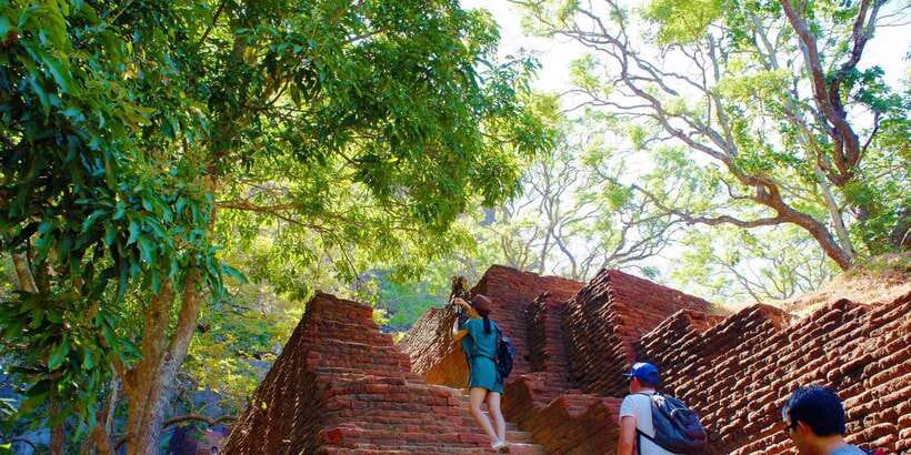 From Negombo: Sigiriya and Dambulla Day Trip and Safari - Morning Pickup and the Drive That Sets Your Pace
