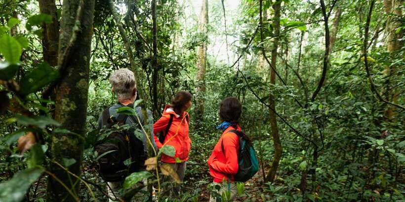 From Western Province: 2-Day Hill Country Highlights Trip - Day 1 Route: beach turtles, Galle Fort walk, then Udawalawe safari