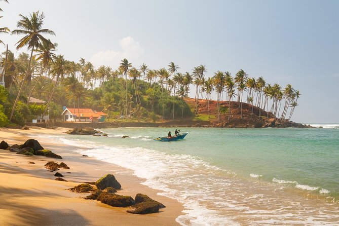 Galle Day Tour from Colombo/Negombo by Private Car or Van - The Madu River safari: mangroves, water tunnels, and Buddhi’s speed-boat time