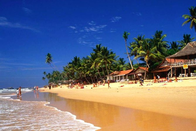Galle Day Tour from Colombo or Negombo by Private Car , Van with Driver - Stop 3: Kosgoda sea turtle conservation and hatchery viewing