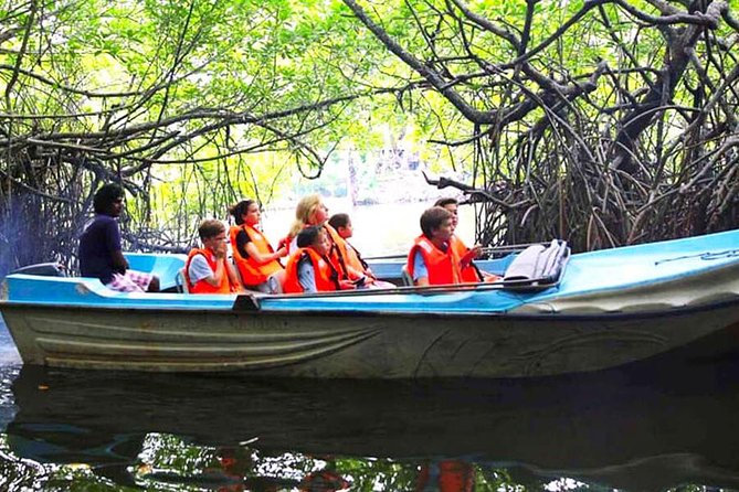 Galle Day Tour from Colombo or Negombo by Private Car , Van with Driver - Stop 1: Bentota Beach with water sports time