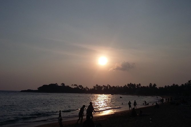 Galle Day Tour From Marawila Negombo - Madu River boat ride: estuary life with a slower rhythm