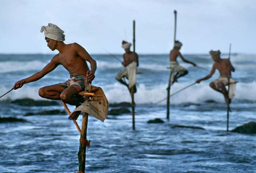 Galle Day Trip - River Safari, Sea Turtle & Stilt Fishermen - Pickup and comfort: what matters when the day is long