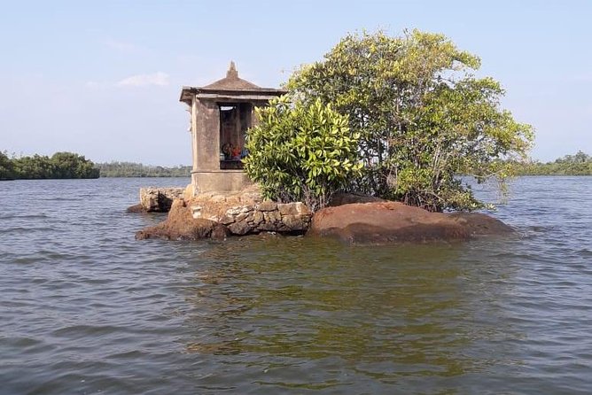 Galle Fort, Turtle, - Private Day Tour From Negombo or Colombo - The driver-guide advantage: a name, a pace, and real safety instincts