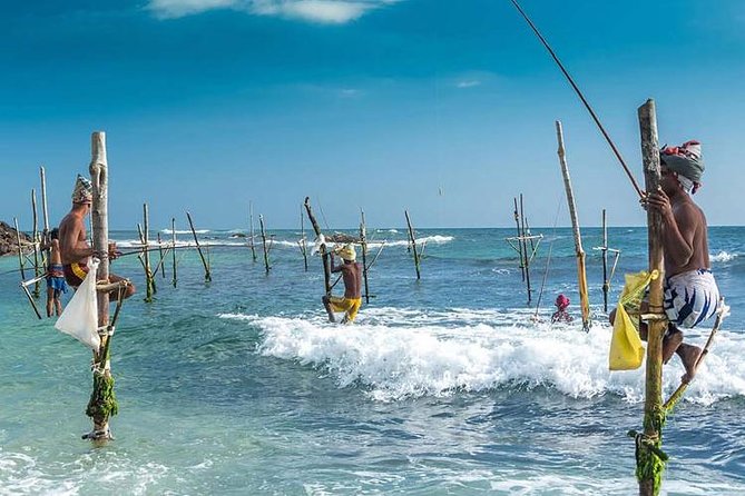 Galle Transfer from Airport or Colombo by private taxi - Why This Transfer Works After You Land
