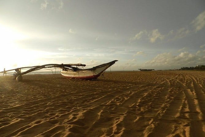 Half Day Tour to Muthurajawela, Lagoon, Dutch Canal and Mangroves - Dutch Canal history that stays useful, not just trivia