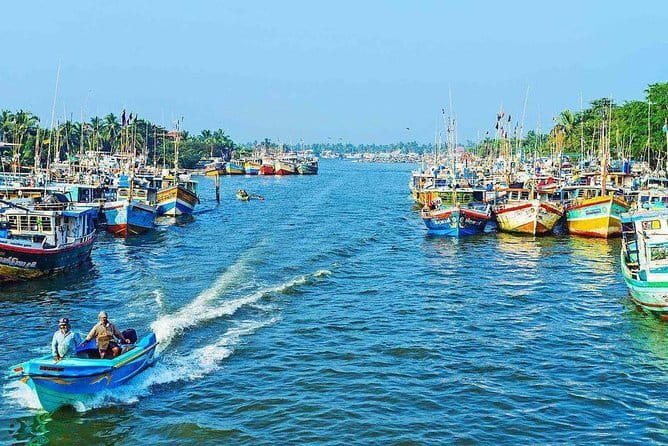Half Day Tour to Muthurajawela, Lagoon, Dutch Canal and Mangroves - Duration and timing: why 3 hours is the sweet spot
