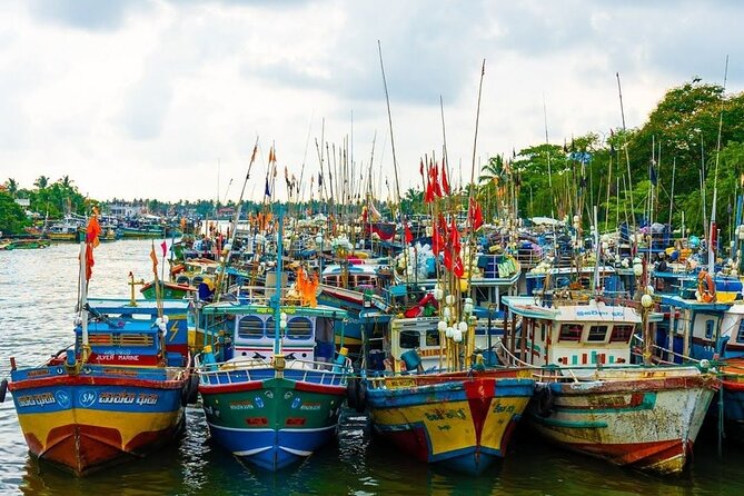 Heritage & Cultural Walk in Negombo - Wasgamuwa National Park: elephants and birds if your day includes the nature stop