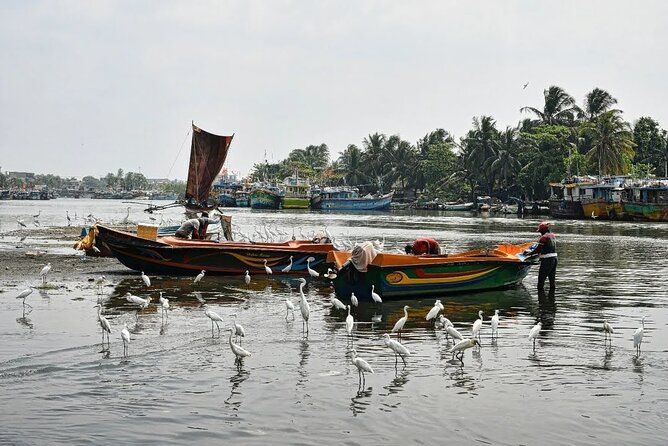 Heritage & Cultural Walk in Negombo - Getting the timing right: 1.5 to 2 hours versus longer plans