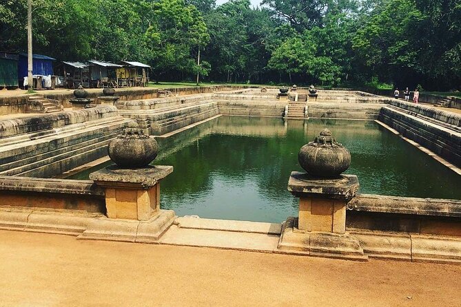 Highlights of Sri Lanka 8 Days Private Tour - Ritigala Forest Monastery + Minneriya Jeep Safari (Day 2): Monastery Stillness, Then Elephants