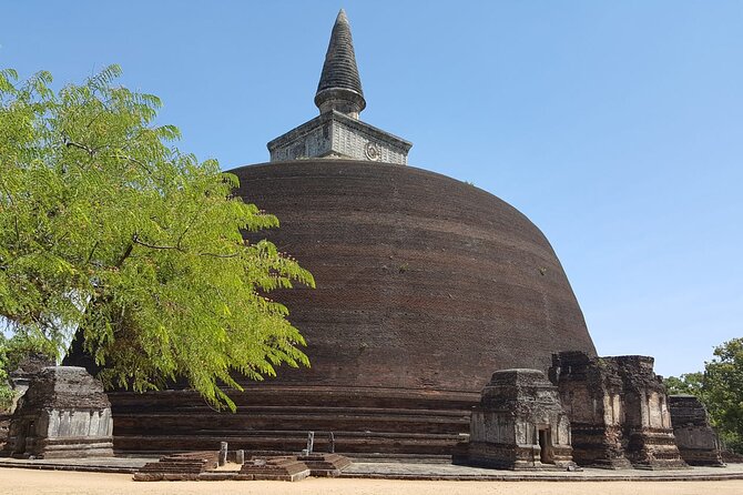 Highlights of Sri Lanka 8 Days Private Tour - Negombo to Colombo: A Route Built for Variety (Not One Bubble)
