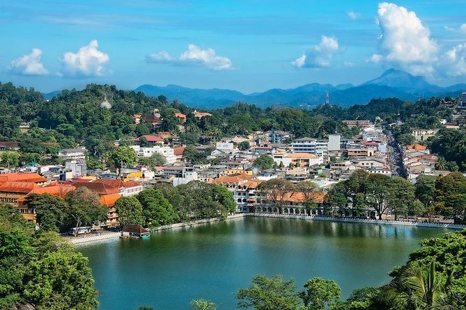 Kandy and Pinnawala Private Day Tour from Colombo/Negombo - Tea factory visit: the best kind of souvenir (knowledge)