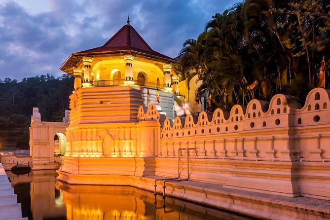 Kandy and Pinnawala Private Day Tour from Colombo/Negombo - Peradeniya Botanical Gardens: a cool reset between big sights