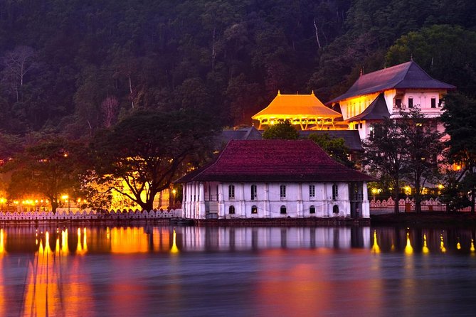 Kandy and Pinnawala Private Day Tour from Colombo/Negombo - Temple of the Sacred Tooth Relic: ticket cost and on-site rhythm