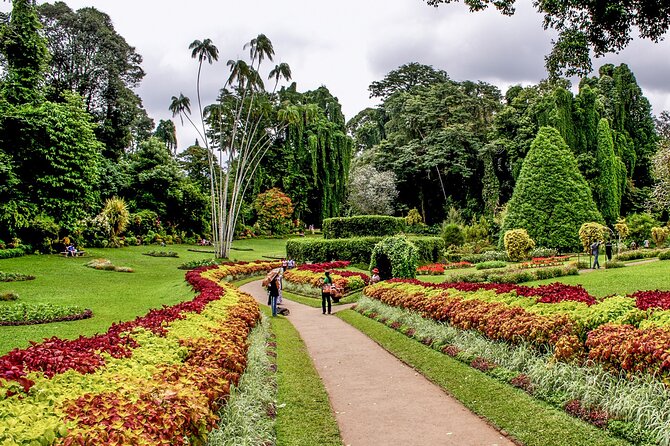 Kandy City Tour from Colombo - Kandy City Centre: shopping time and an easy lunch reset