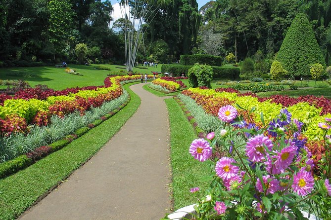 Kandy City Tour from Colombo - Temple of the Sacred Tooth Relic: gold roof, murals, and ceremonial energy