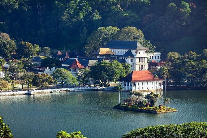 Kandy City Tour from Colombo - Peradeniya Royal Botanical Gardens: orchids, spice plants, and the wobble bridge