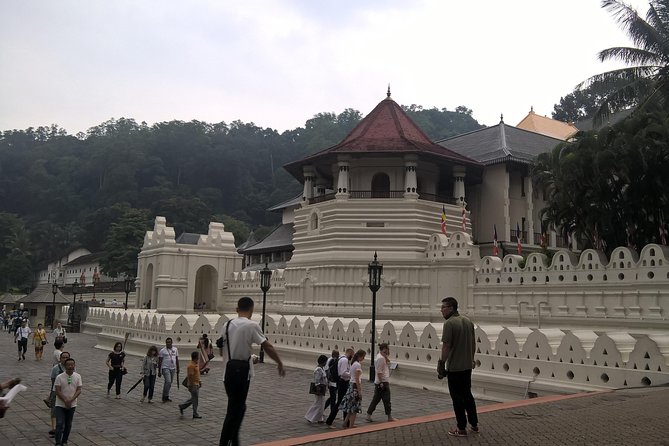 Kandy Day Tour From Colombo - Practical Advice for Your Kandy Day Schedule