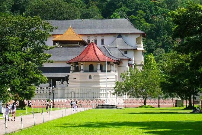Kandy Day Tour From Colombo - Geragama Tea Factory: A Real Taste of Ceylon Tea Work