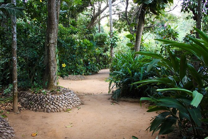 Kandy Full-Day Tour - Kadugannawa Tea Factory and Estate: What You’ll Learn About Ceylon Tea