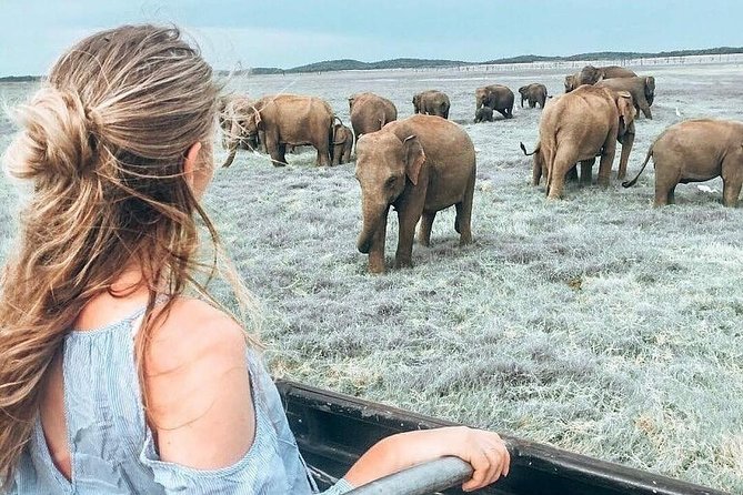 Kandy - Minneriya National park & Sigiriya Rock by tuk tuk tours - Key highlights worth caring about
