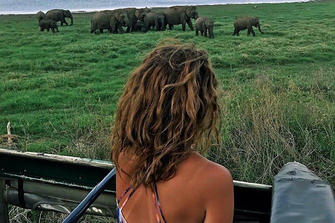 Kandy - Minneriya National park & Sigiriya Rock by tuk tuk tours - Why this Kandy day trip hits hard: Sigiriya, Dambulla, and Minneriya in one run