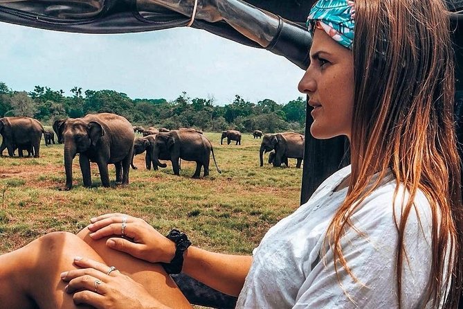 Kandy - Minneriya National park & Sigiriya Rock by tuk tuk tours - The Minneriya jeep safari: wild elephants and the nature part you actually came for
