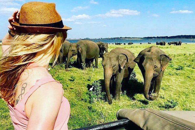 Kandy - Minneriya National park & Sigiriya Rock by tuk tuk tours - Sigiriya Rock time: expect a big stop and plan for the day’s tempo